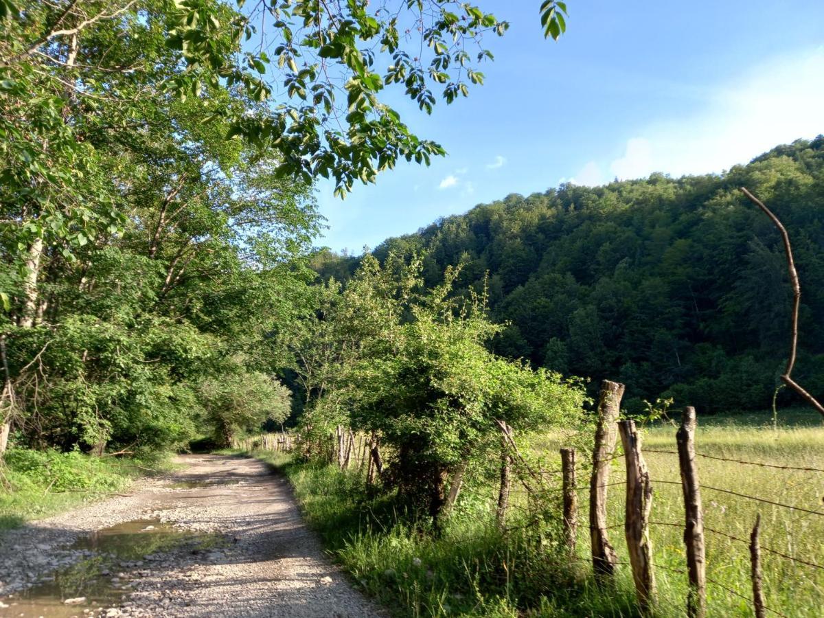Shack * Kolašin